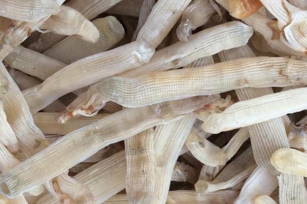 Sá sùng khô loại 1