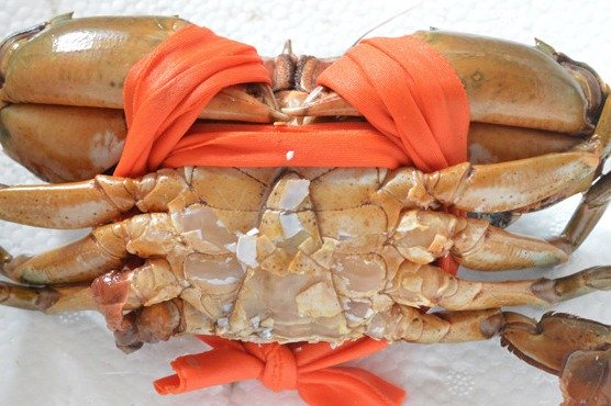 Cua Cốm (Cua 2 da, Cua Lột)