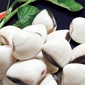 Ngao (hay còn được gọi là nghêu)