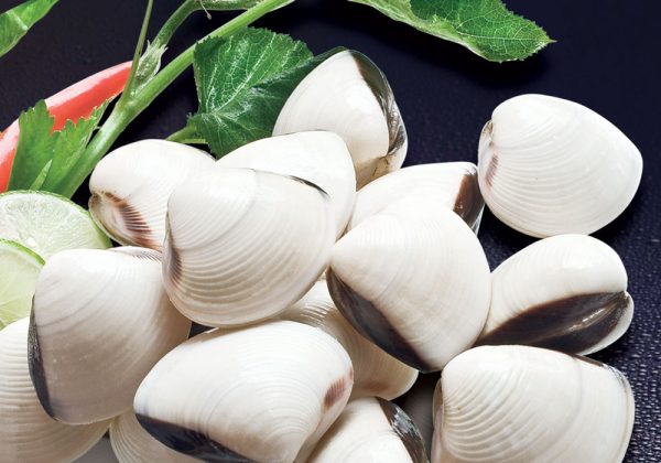 Ngao (hay còn được gọi là nghêu)
