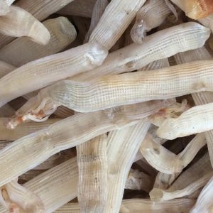Sá sùng khô loại 1