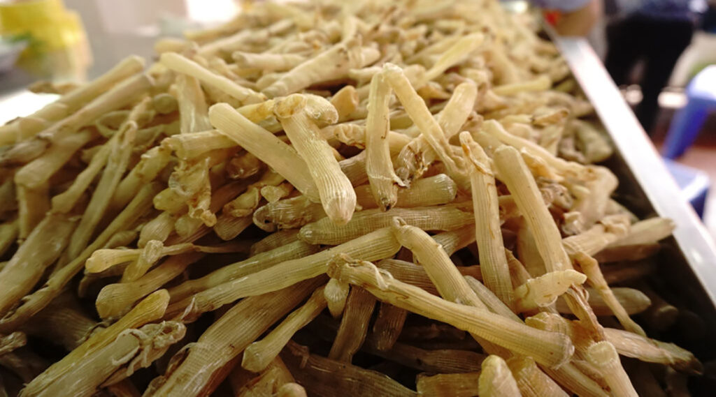 Sá sùng Quảng Ninh