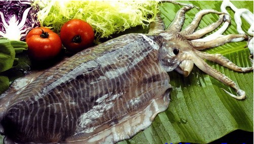Mực mai nguyên liêu chính làm chả mực ngon Hạ Long