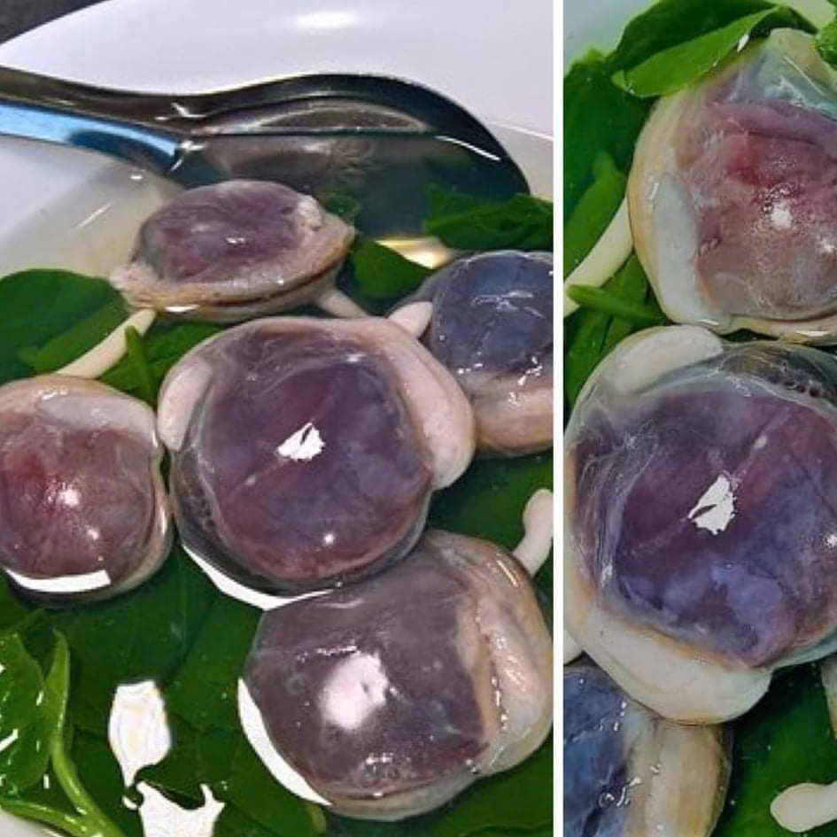 Ngán biển Hạ Long - Hình ảnh 2