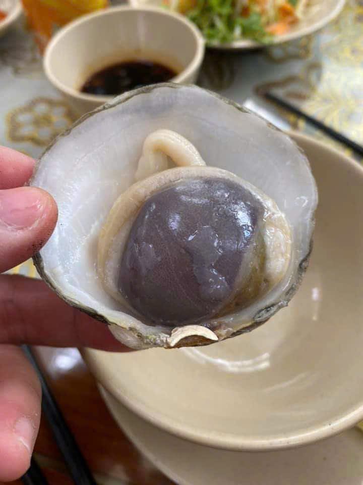 Ngán biển Hạ Long - Hình ảnh 5