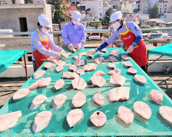 Cá thu một nắng - Loại 1 - Hình ảnh 3