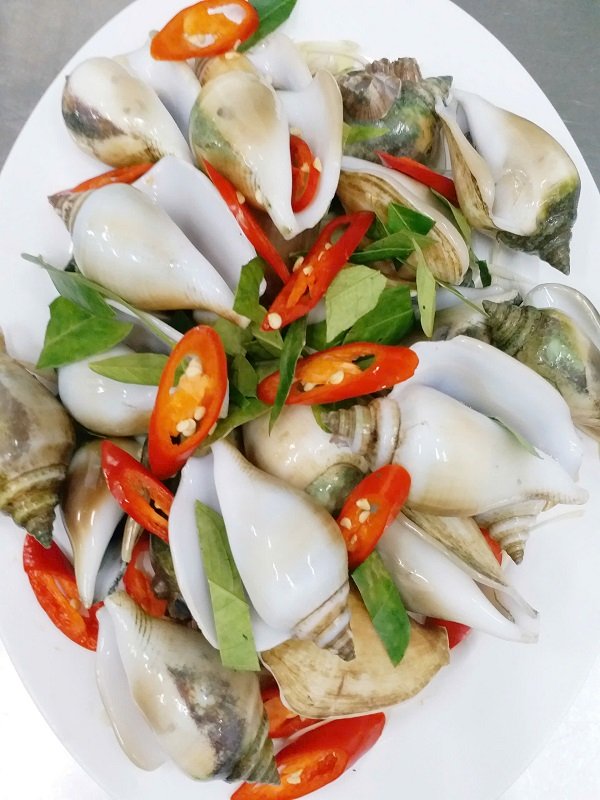 Ốc nhảy biển - Hình ảnh 2