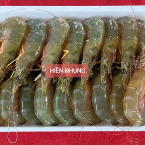 Tôm he biển