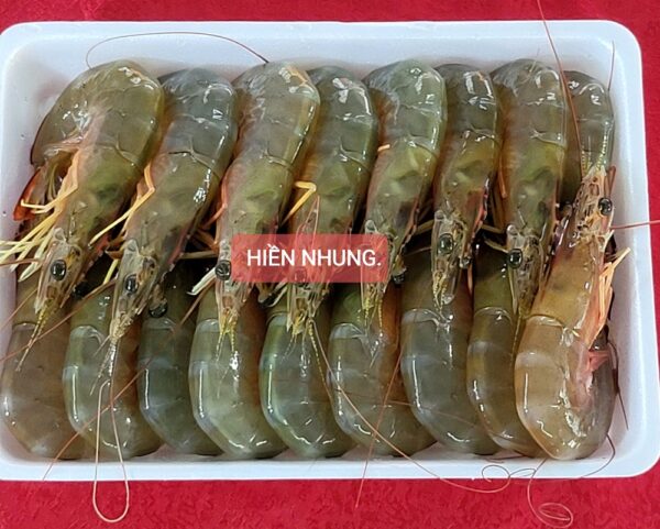 Tôm he biển